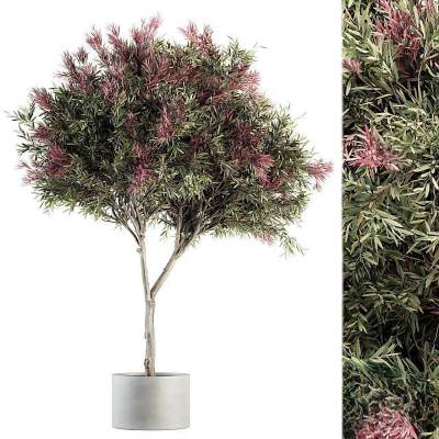 现代绿植盆栽-15